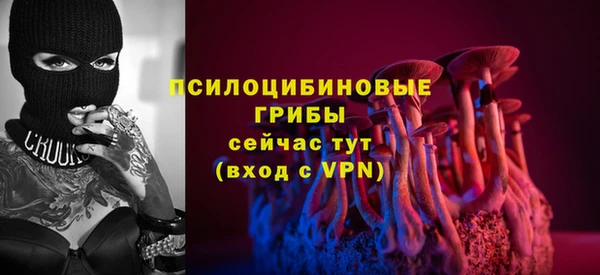 меф Инсар