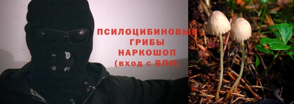 марихуана Инта