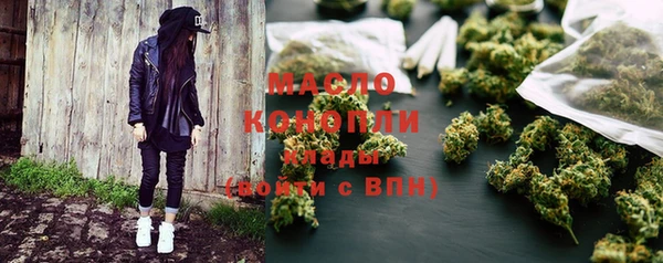 молекула духа Каменка