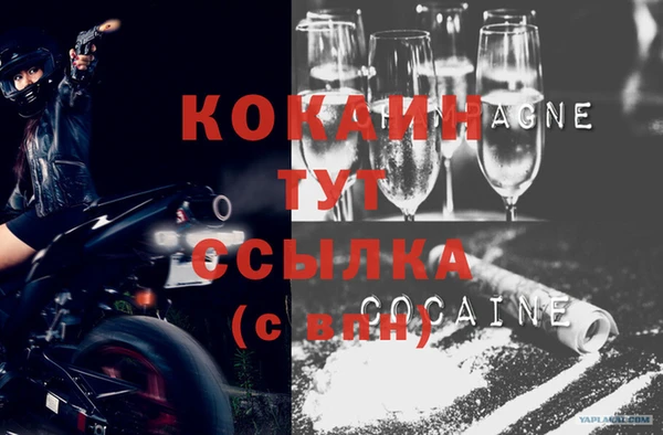 молекула духа Каменка