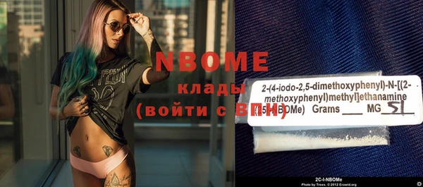 молекула духа Каменка
