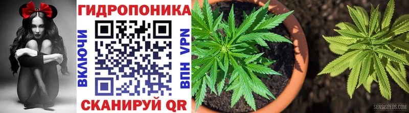 Канабис семена  Купить  Каменск-Шахтинский 